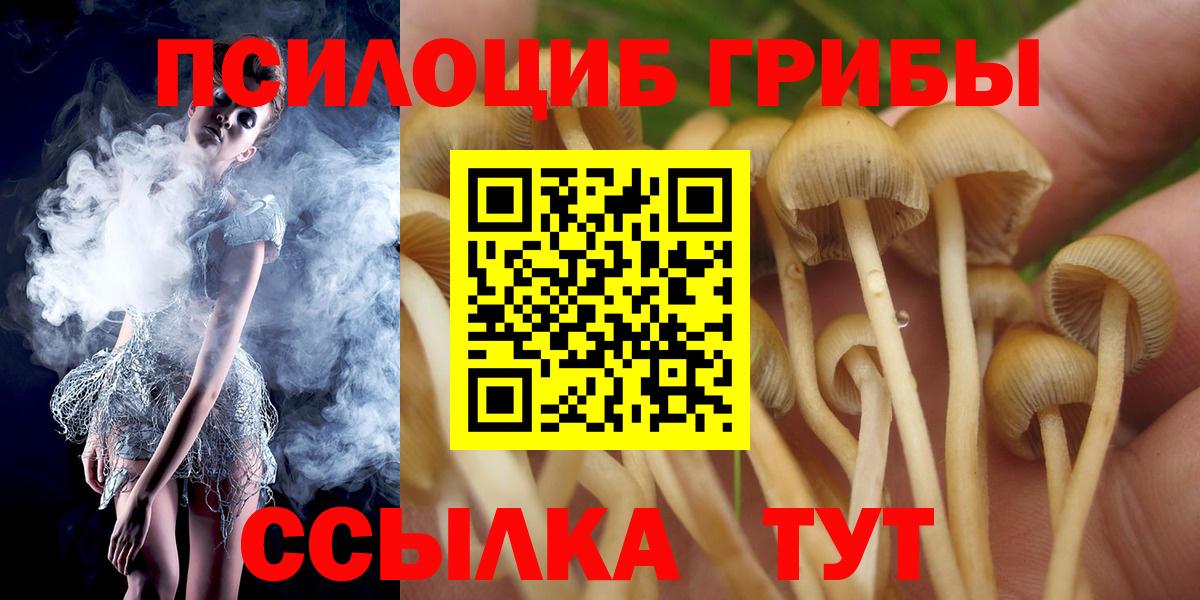 Галлюциногенные грибы Magic Shrooms  Вход с VPN  Торжок 
