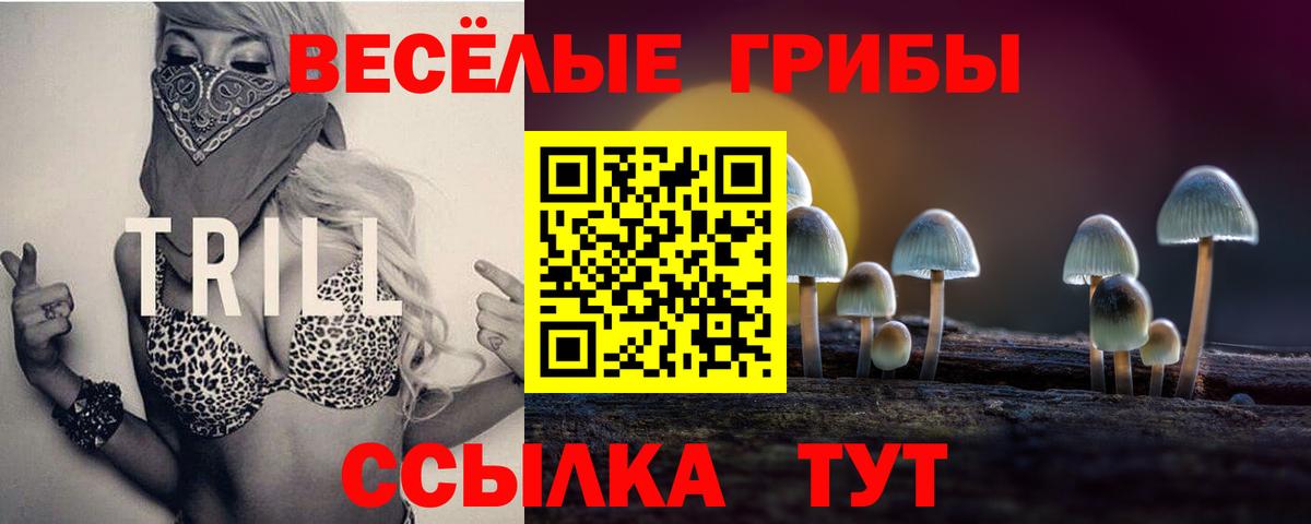 Псилоцибиновые грибы ЛСД Торжок
