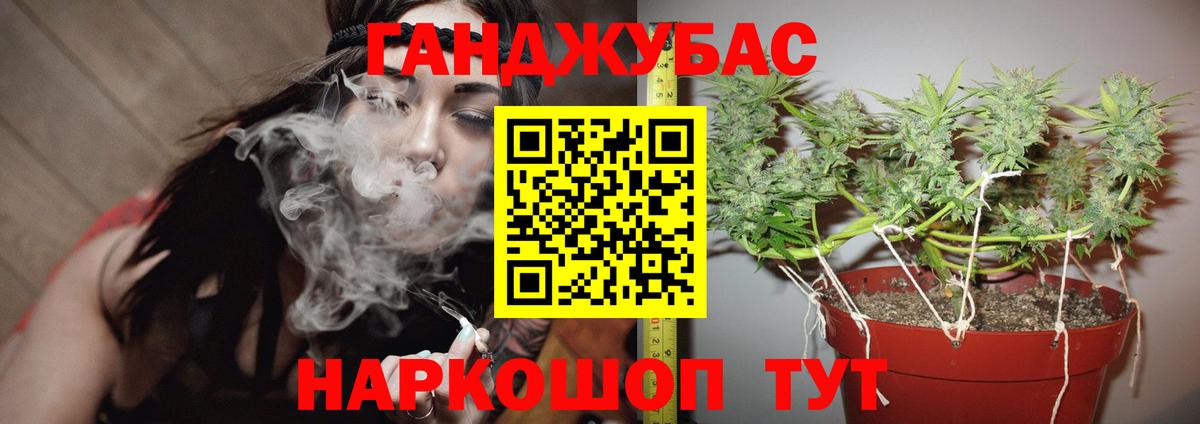 Торжок  Шишки марихуана семена  Вход с VPN  МАРИХУАНА OG Kush  Каннабис гибрид 